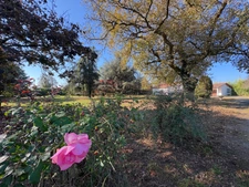 Maison à vendre 4 pièces 160M2 AIRE SUR L'ADOUR (40)
