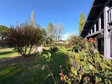 MAISON 5 PIECES 204M2 EXCELLENTES PRESTATIONS AIRE-SUR-L'ADOUR