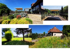 Splendide demeure avec jardin fleuri et arboré 