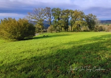 Terrain à bâtir  SIONIAC (19)