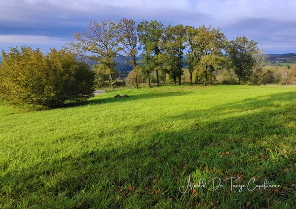 Terrain à bâtir  SIONIAC (19)