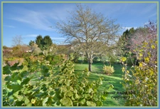 Maison à vendre 4 chambres sous sol total terrain 802m²