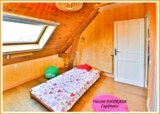 VILLEMOISSON SUR ORGE-sous-sol -Jacuzzi-Sauna-Dépendance-5chambres