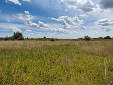 Terrain de 6 640m2 avec chênes truffiers