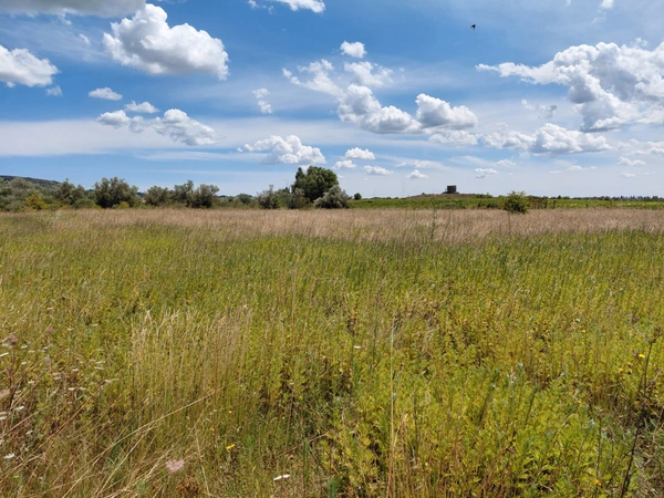 Terrain de 6 640m2 avec chênes truffiers