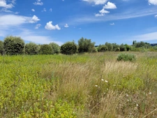 Terrain de 6 640m2 avec chênes truffiers