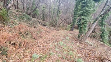 Terrain à vendre  LE COLLET DE DEZE (48)