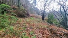 Terrain à vendre de 9 403,00 m² LE COLLET DE DEZE (48)