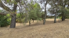 Terrain viabilisé à vendre  ALES (30)