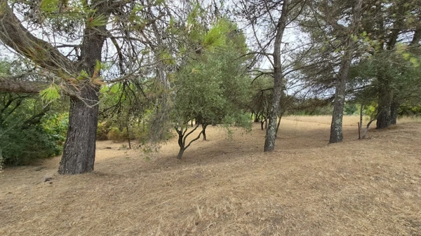 Terrain viabilisé à vendre  ALES (30)