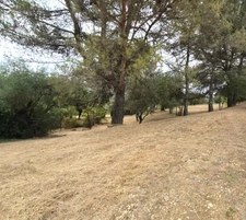 Terrain viabilisé à vendre  ALES (30)