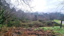 Terrain à vendre  LE COLLET DE DEZE (48)