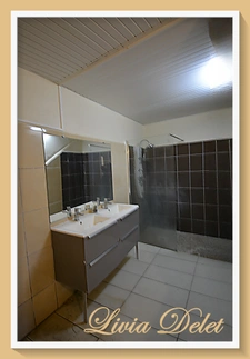 Lot de 2 maisons mitoyennes – Saint-Pierre (Martinique) – Idéal investisseurs & résidents - Prix négociable!