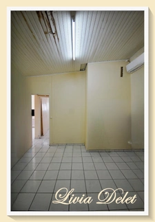 Lot de 2 maisons mitoyennes – Saint-Pierre (Martinique) – Idéal investisseurs & résidents - Prix négociable!
