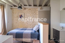 Propriété de 350m2 : Maison de prestige + 2 logements indépendants                