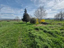 Ancienne ferme de 215m² à vendre 6 pièces SAINT VICTOR SUR LOIRE (42)