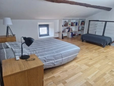 Ancienne ferme de 215m² à vendre 6 pièces SAINT VICTOR SUR LOIRE (42)