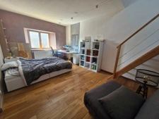 Ancienne ferme de 215m² à vendre 6 pièces SAINT VICTOR SUR LOIRE (42)