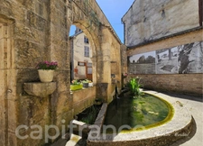 Maison à vendre 4 pièces proche de Dijon. Un jardin au calme, face à la campagne. SAINT SEINE L'ABBAYE (21)