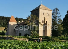 Maison en Pierre de 177 m2 - Un cocon chaleureux à Gevrey-Chambertin, entre charme, nature et convivialité.
