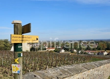 Maison en Pierre de 177 m2 - Un cocon chaleureux à Gevrey-Chambertin, entre charme, nature et convivialité.