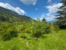 Jolie Maison Atypique avec grand terrain 5000m² – CHARENS (DIOIS)