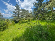Jolie Maison Atypique avec grand terrain 5000m² – CHARENS (DIOIS)