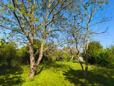 Terrain 955 m² LA BAULE ESCOUBLAC (44) proche centre et gare