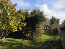 Terrain 942 m² LA BAULE ESCOUBLAC (44) proche centre et gare