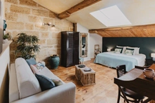 Propriété d'exception-maison de charme avec activité chambres d'hôtes avec vue  sur les vignes