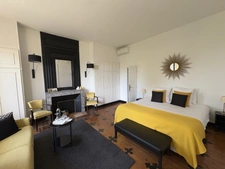 Propriété d'exception-maison de charme avec activité chambres d'hôtes et vue  sur les vignes
