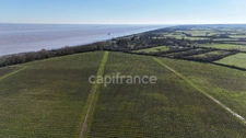 FOR SALE Domaine Viticole Cru Bourgeois Médoc Exceptional view