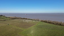 FOR SALE Domaine Viticole Cru Bourgeois Médoc Exceptional view