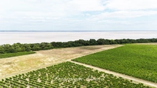 FOR SALE Domaine Viticole Cru Bourgeois Médoc Exceptional view