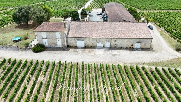 Exclusivité À VENDRE Vignoble Cru Bourgeois Médoc Vue exceptionnelle