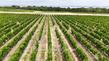 Exclusivité À VENDRE Vignoble Cru Bourgeois Médoc Vue exceptionnelle