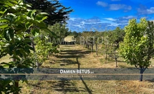 6-room house for sale in Givrand, near Saint Gilles Croix de Vie (85), garden, garage, close to beach, orchard 