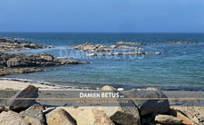 Land for sale of 2,900.00 m² on the Île d'Yeu (85), zone UB
