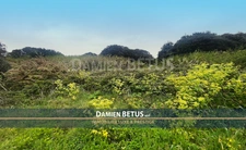 Terrain à vendre de 2 900,00 m² L'ILE D'YEU (85), zone UB