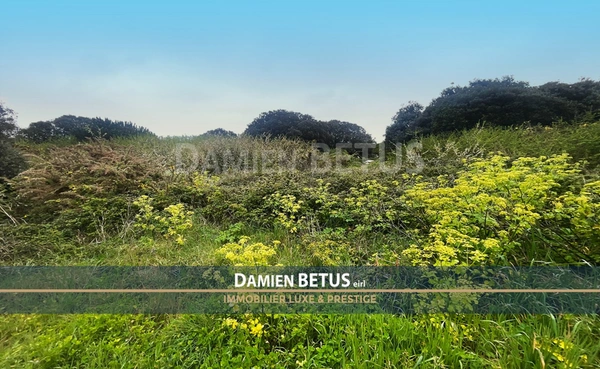 Terrain à vendre de 2 900,00 m² L'ILE D'YEU (85), zone UB