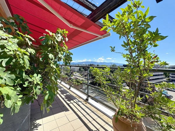 Appartement à vendre 6 pièces FERNEY VOLTAIRE (01)