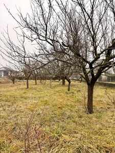 Terrain à vendre de 1 162,00 m² PREVESSIN MOENS (01)