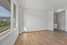 House for sale 6 rooms SAINT GENIS POUILLY (01)