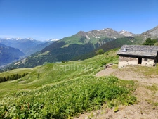 CHALET D'ALPAGE VUE EXCEPTIONNELLE LA PLAGNE-TARENTAISE (73210)