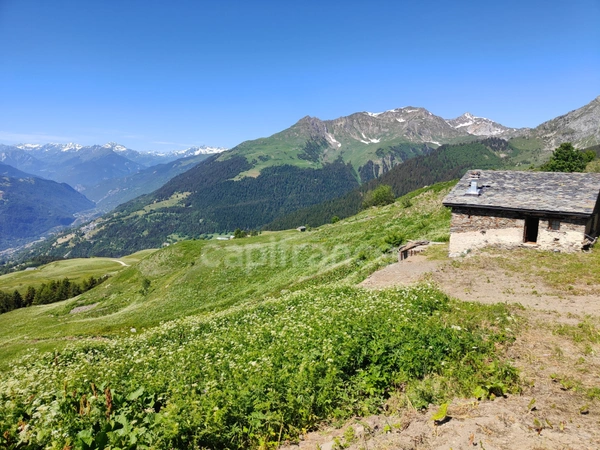 CHALET D'ALPAGE VUE EXCEPTIONNELLE LA PLAGNE-TARENTAISE (73210)