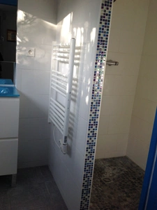 maison à vendre 10 pièces  (85)