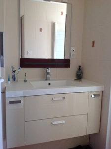 maison à vendre 10 pièces  (85)