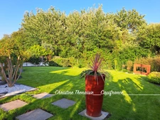 Maison contemporaine Beaux volumes - 5 chambres - Pergola - Garage SAINT GILLES CROIX DE VIE (85)