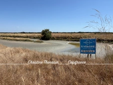 MARAIS avec cabane flottante à vendre Route du Sel à SAINT HILAIRE DE RIEZ (85)