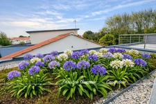 Maison contemporaine Beaux volumes - 5 chambres - Pergola - Garage SAINT GILLES CROIX DE VIE (85)